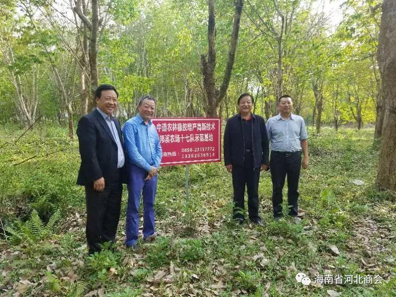 我会顾问王永存到中道农林（海南）股份公司调研