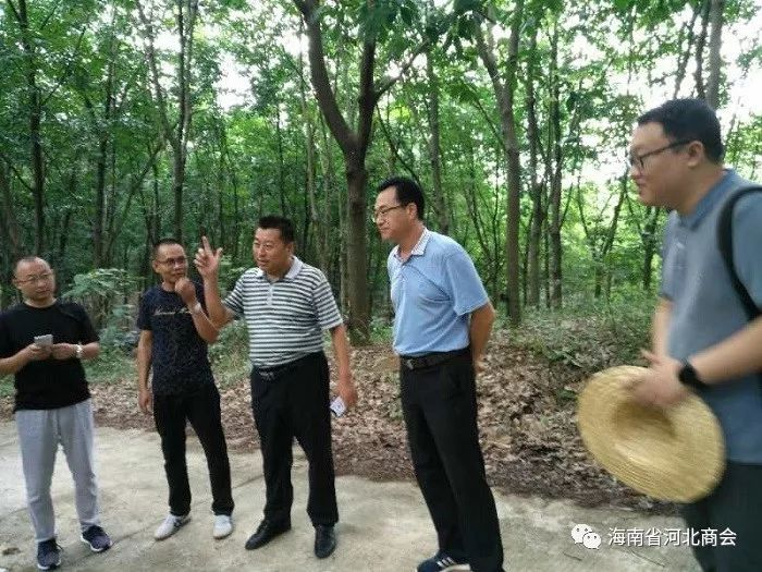 省科技厅赵庆慧副厅长考察中道农林橡胶增产高新技术示范基地